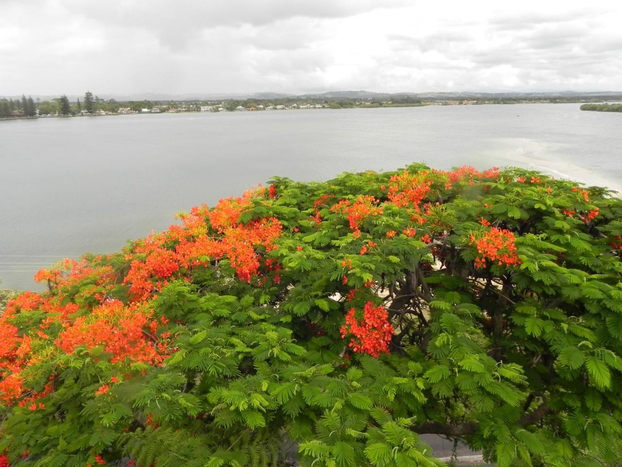 Leisure-Lee Holiday Apartments Ballina Eksteriør bilde
